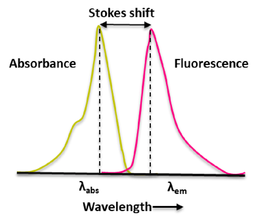 Stokes Shift